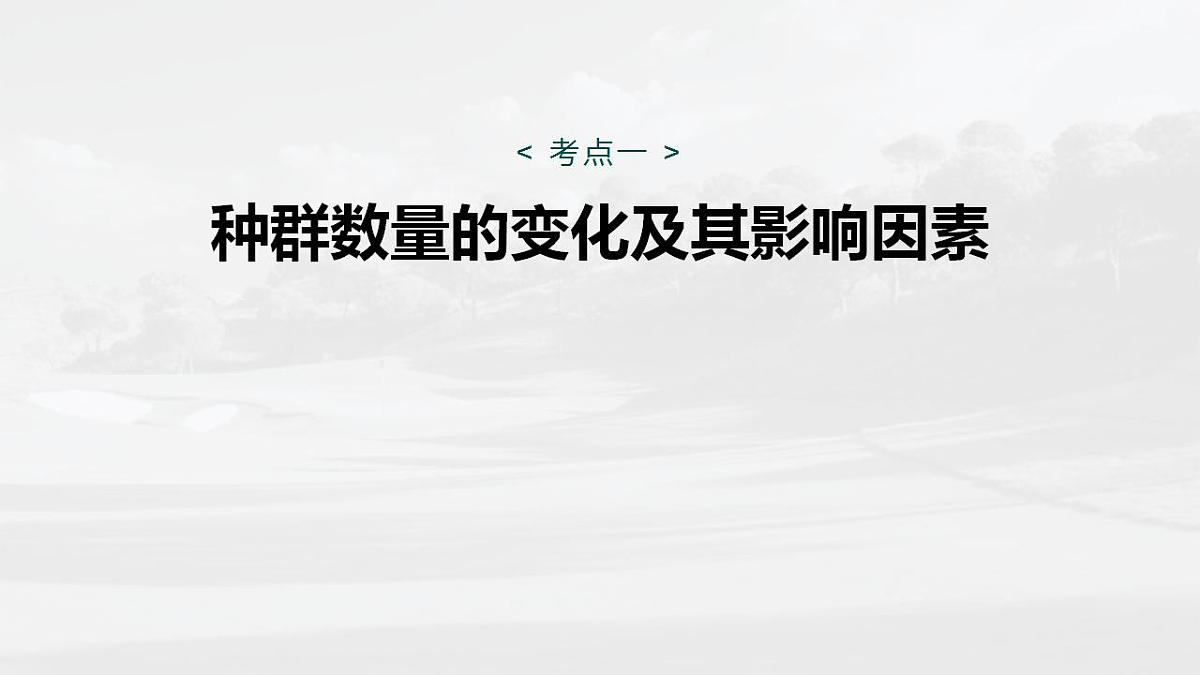 17828032第4页