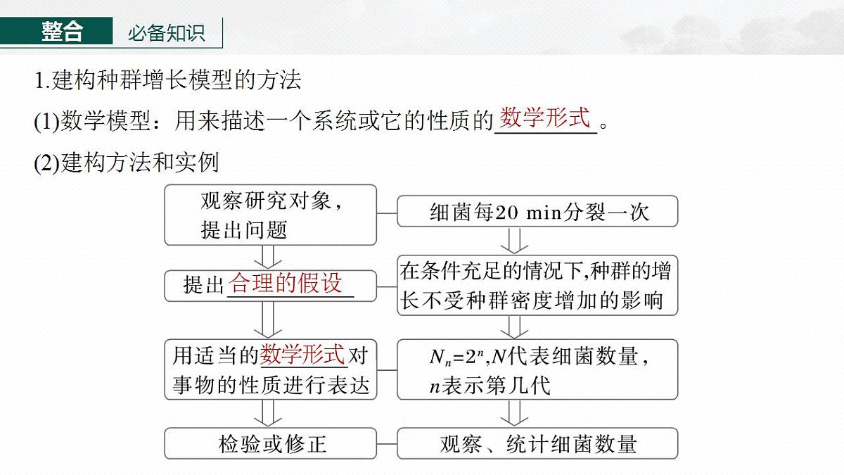 17828032第5页