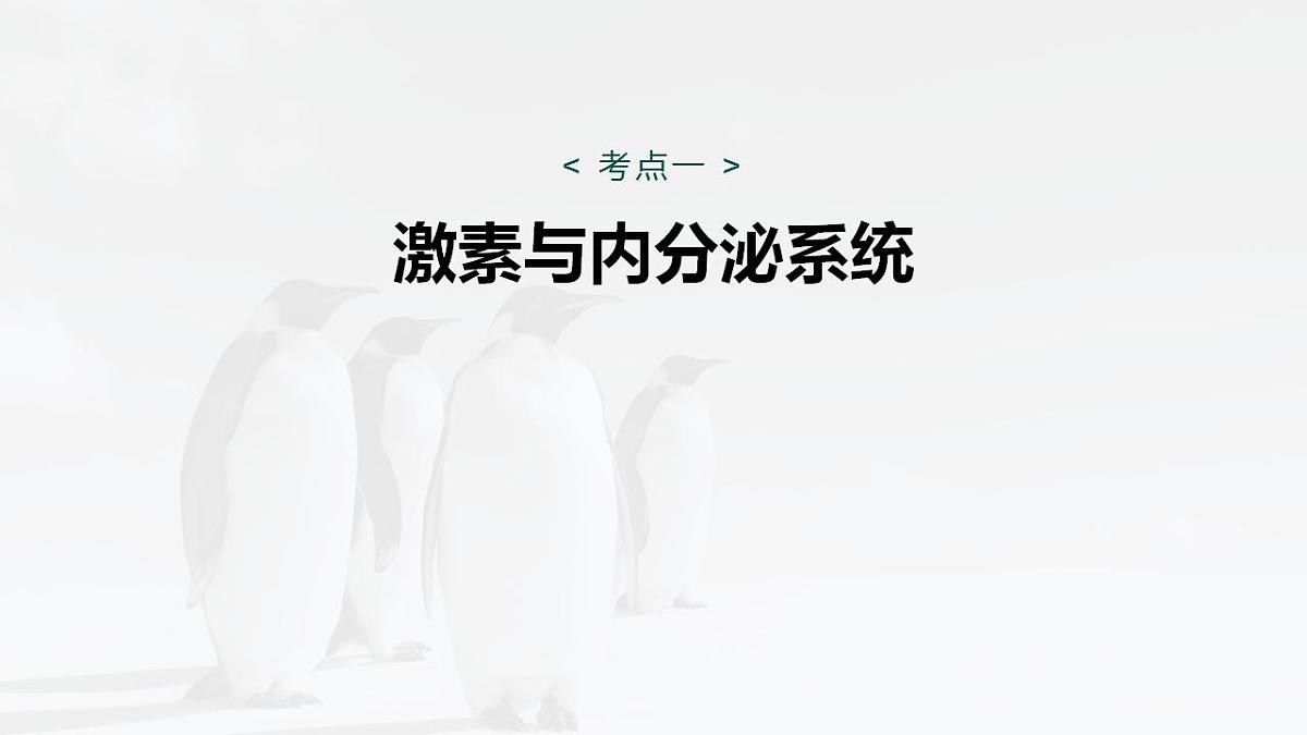 17828033第4页