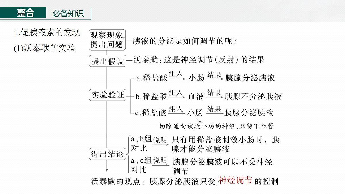 17828033第5页