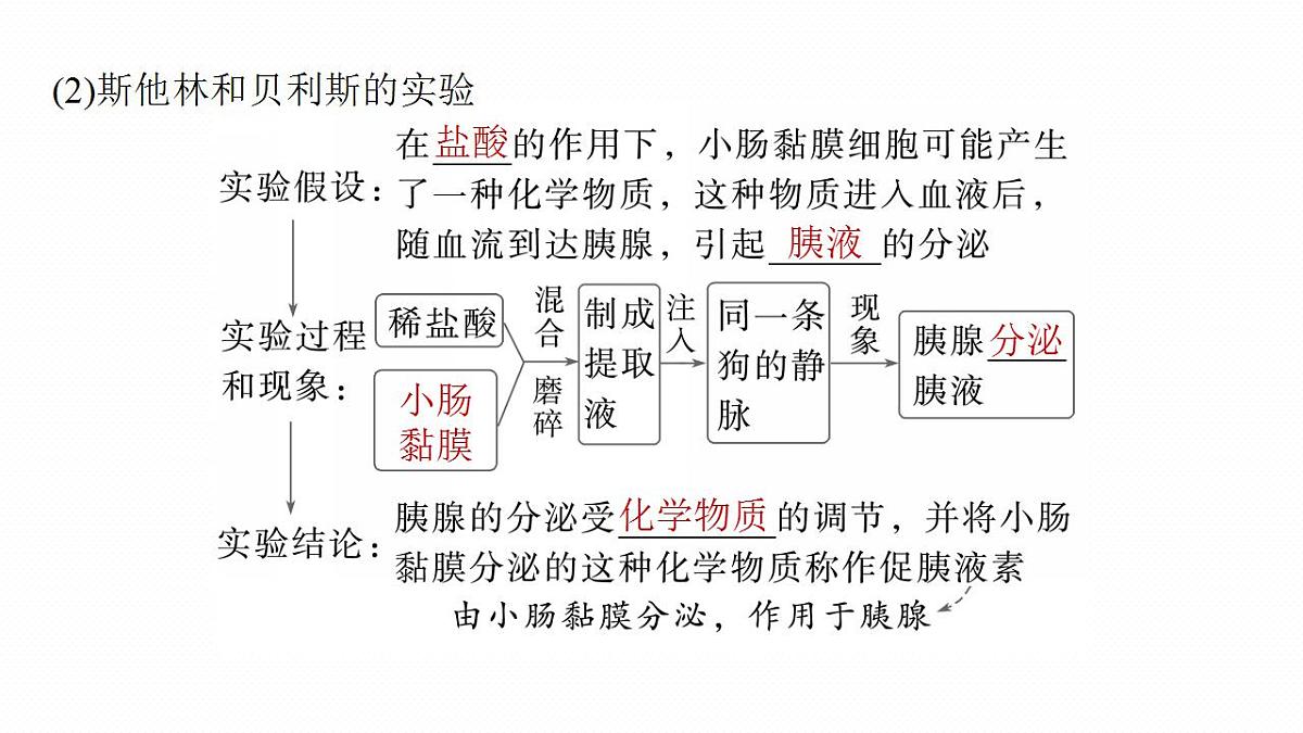 17828033第6页