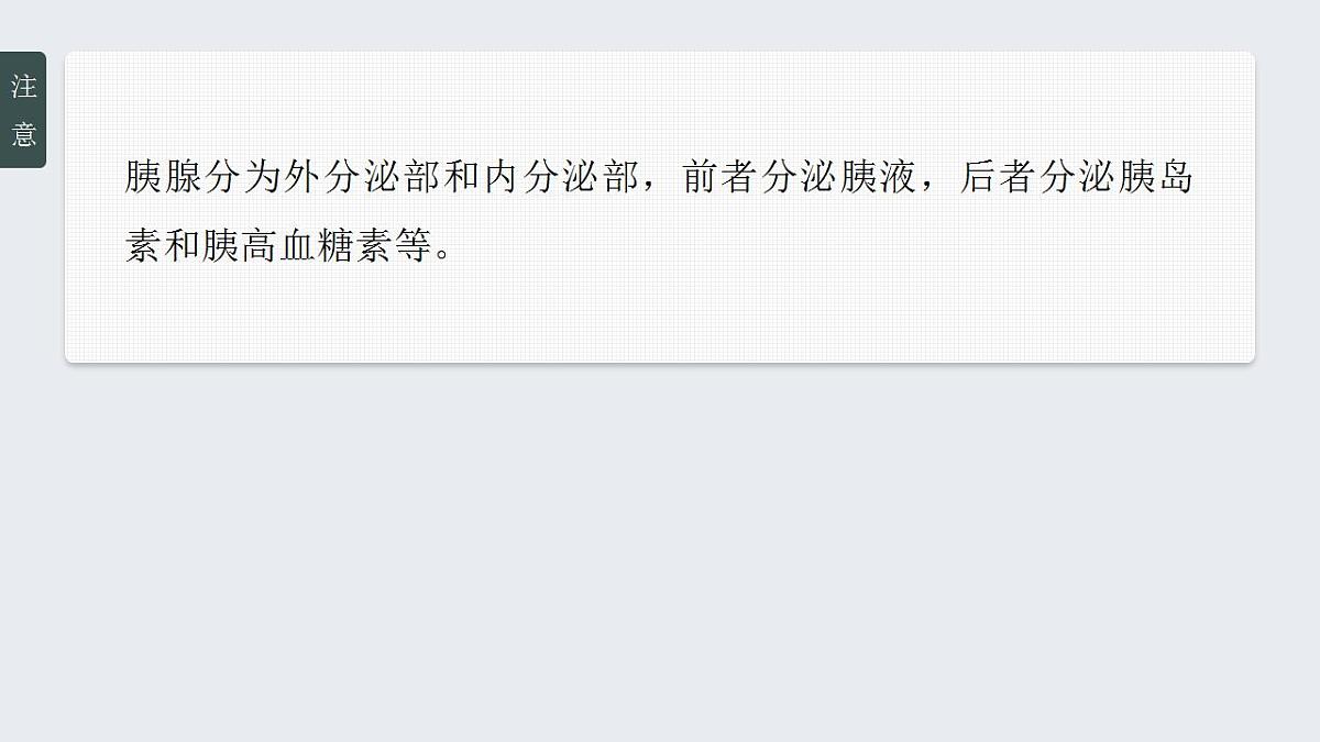 17828033第8页