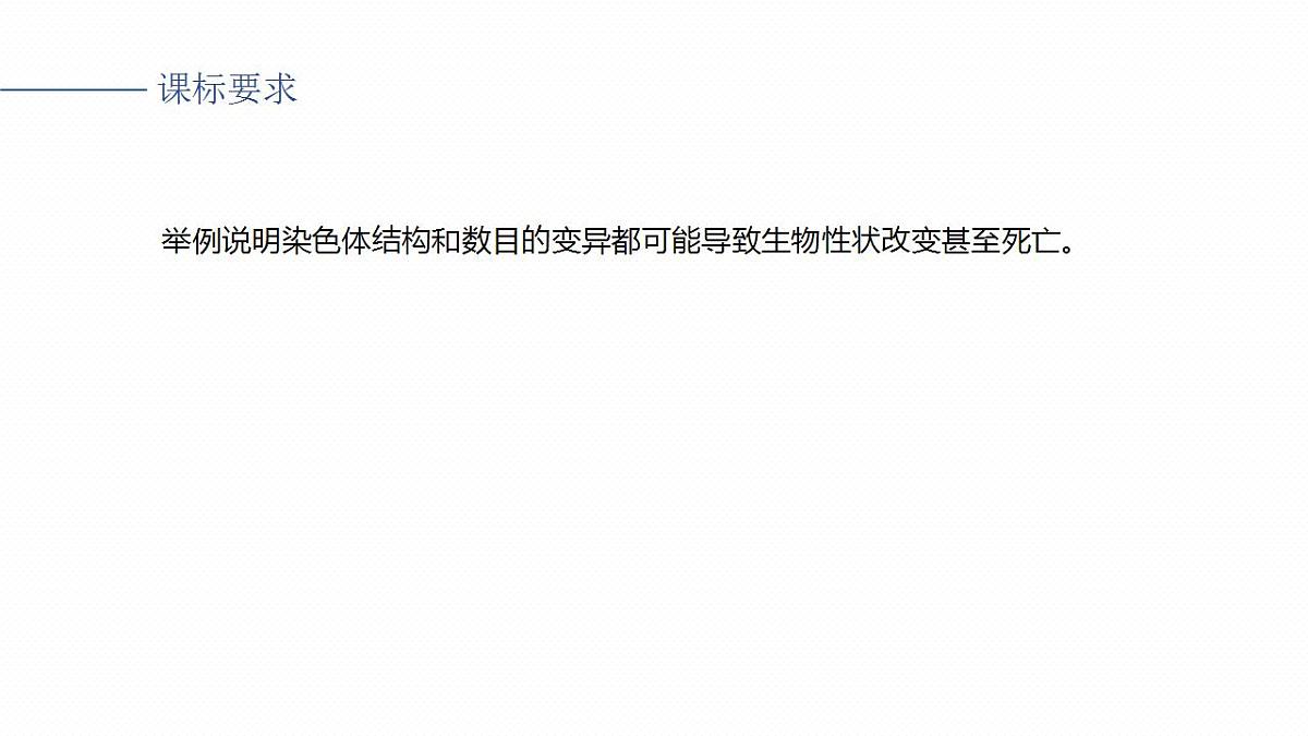 17828128第1页