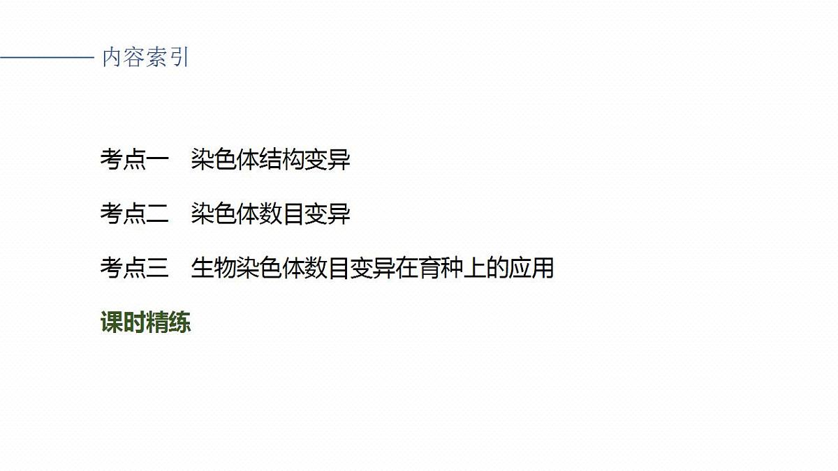 17828128第3页
