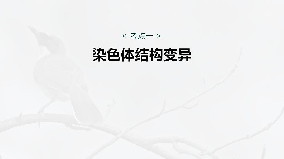 17828128第4页