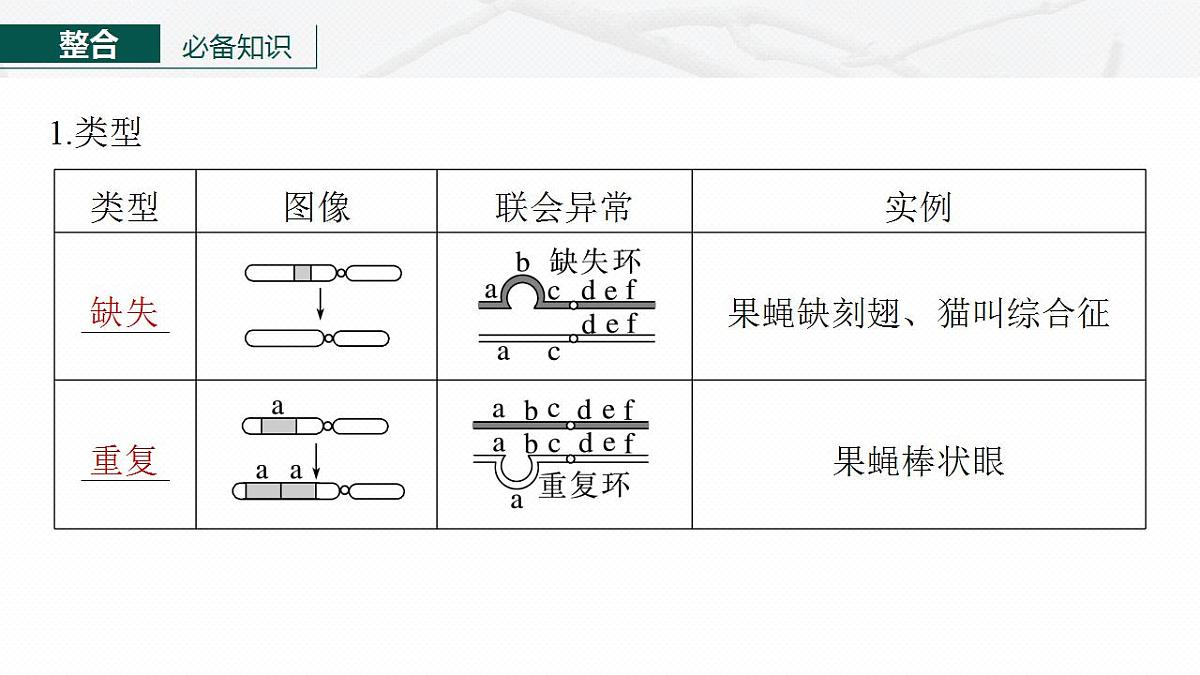 17828128第5页