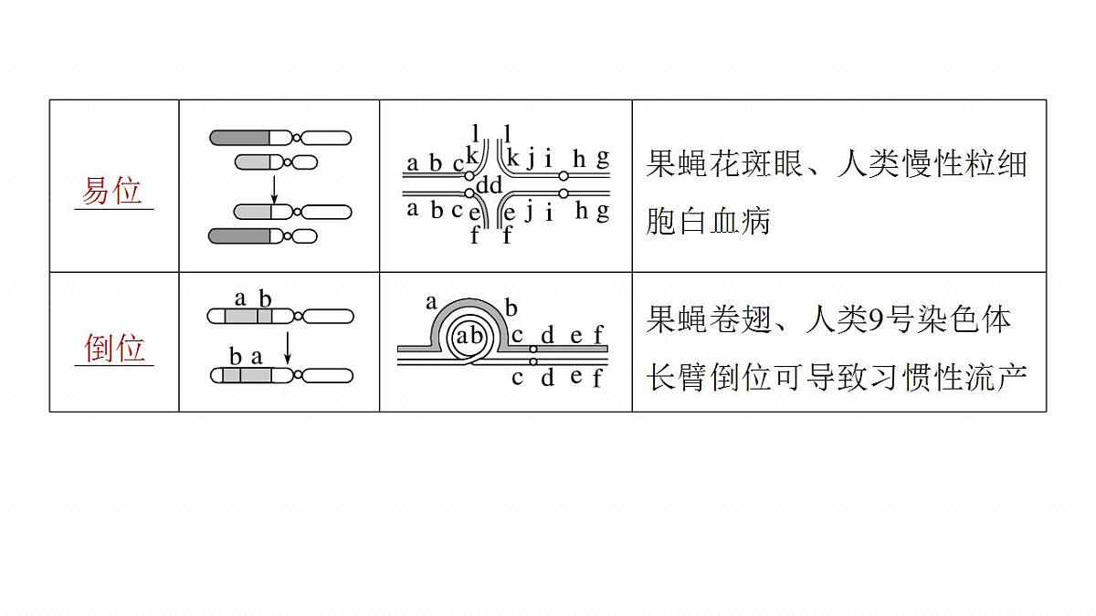 17828128第6页