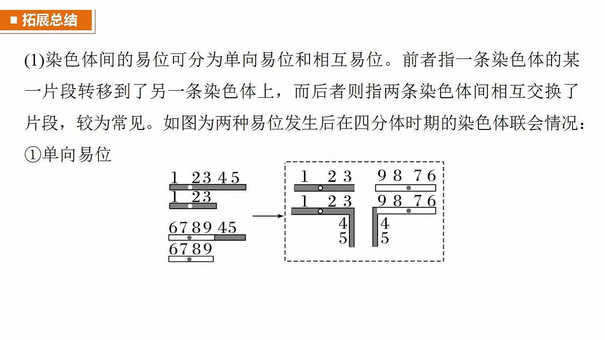 17828128第7页