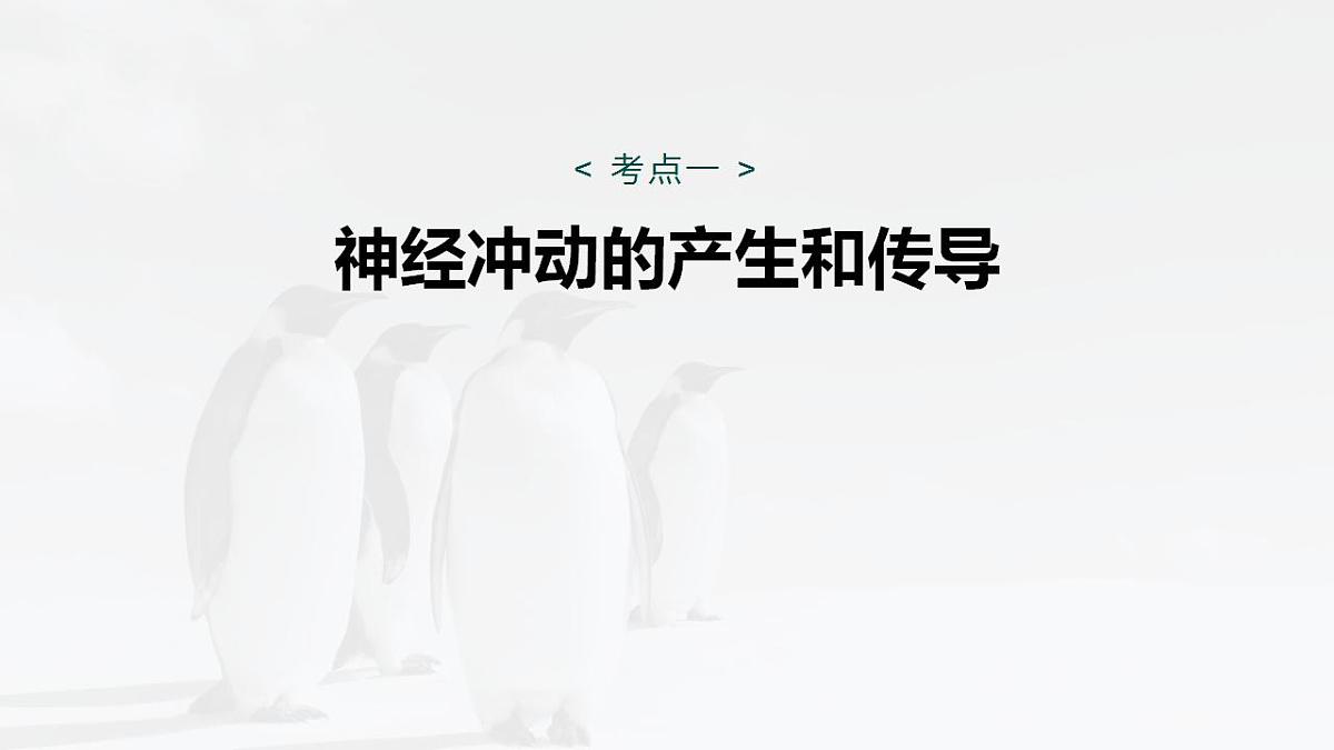 17828129第4页