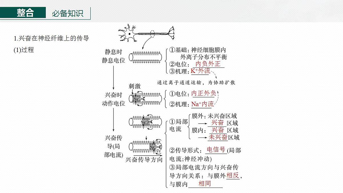 17828129第5页