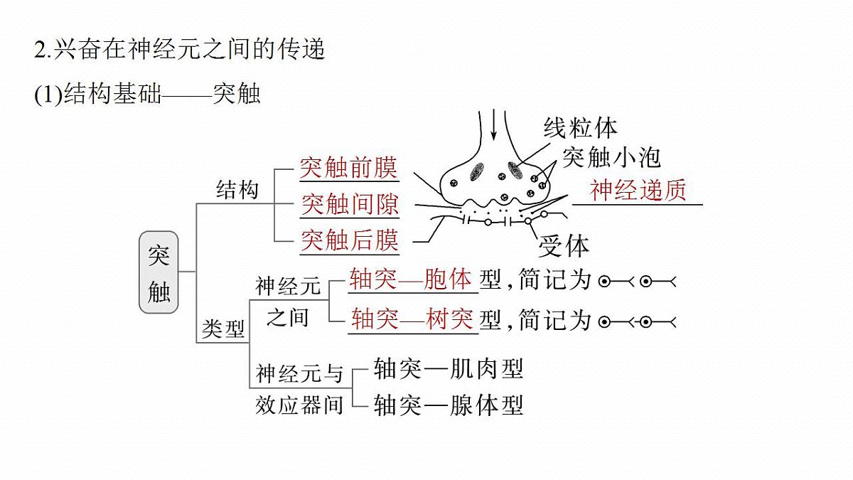 17828129第8页