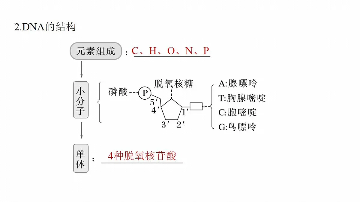 17828188第6页