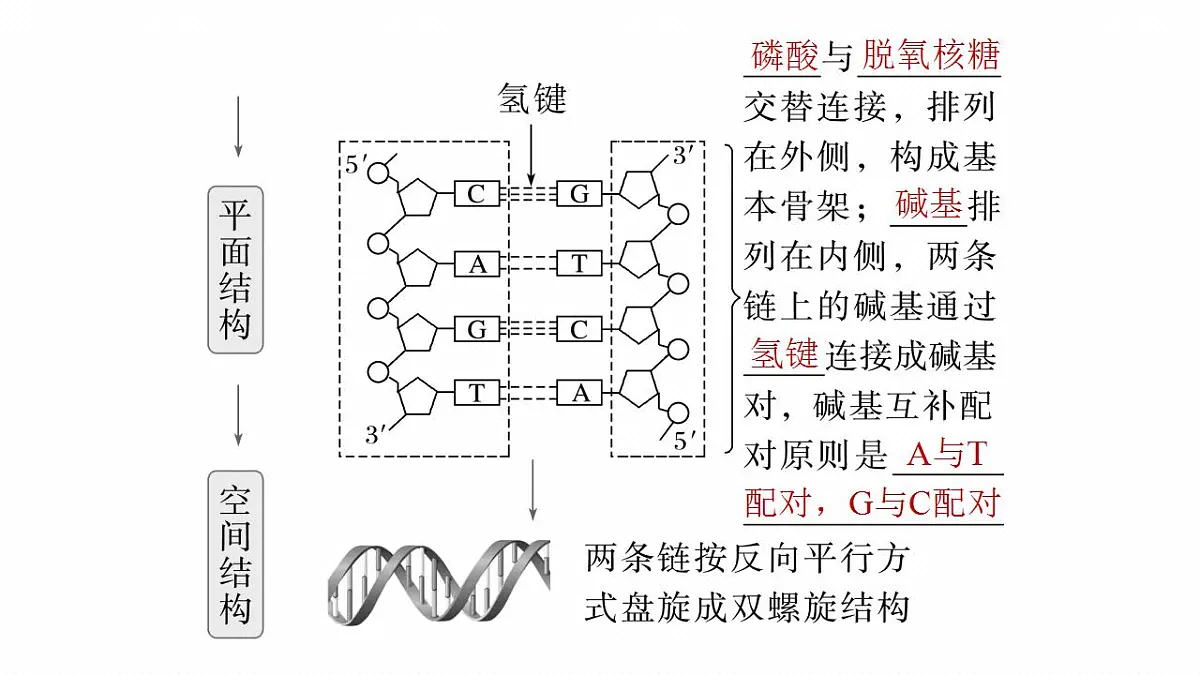 17828188第7页