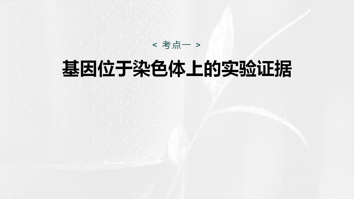 17828191第4页