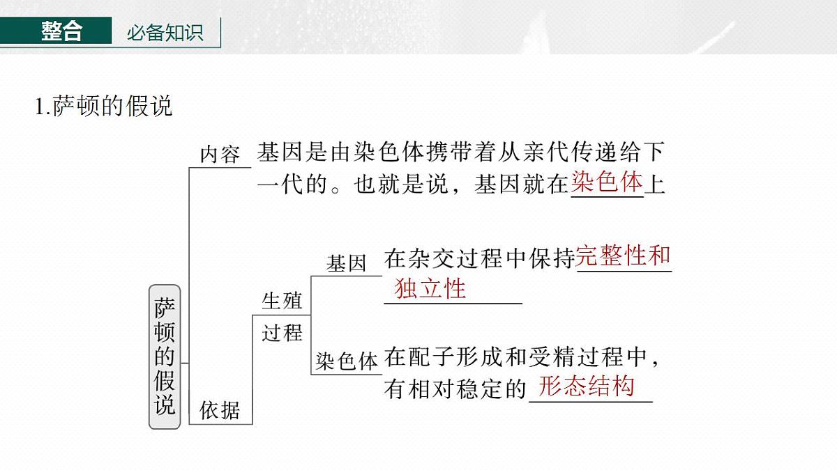 17828191第5页