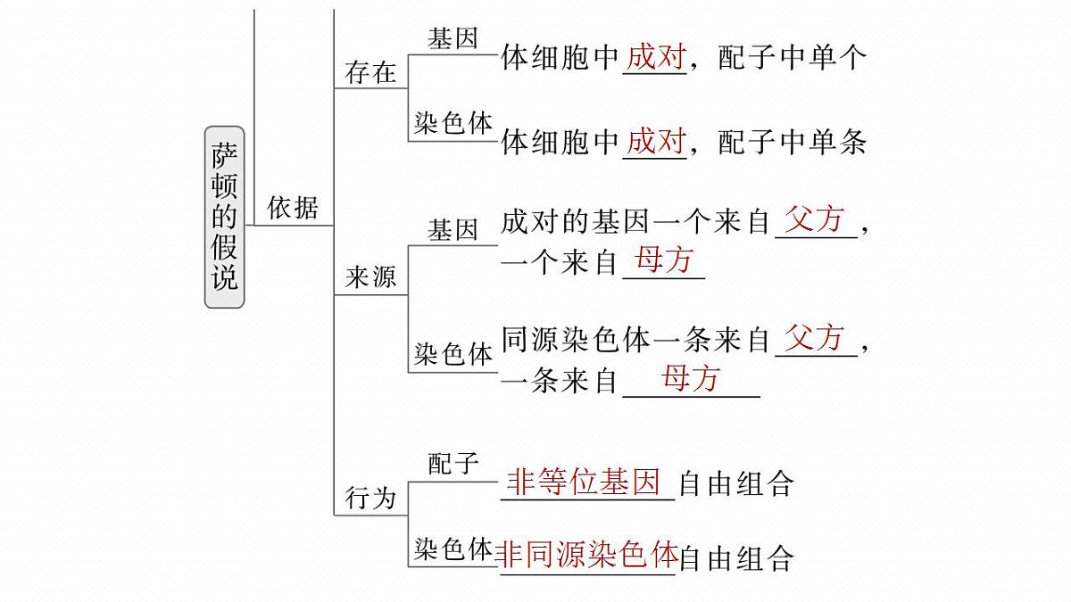 17828191第6页