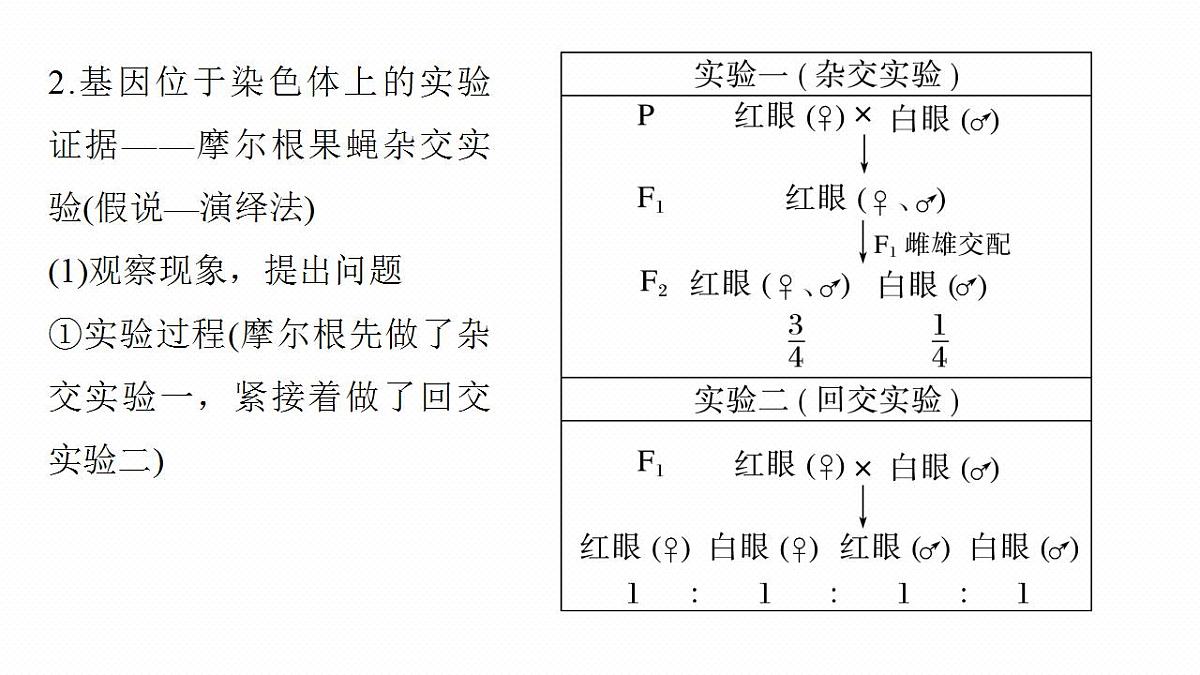 17828191第7页