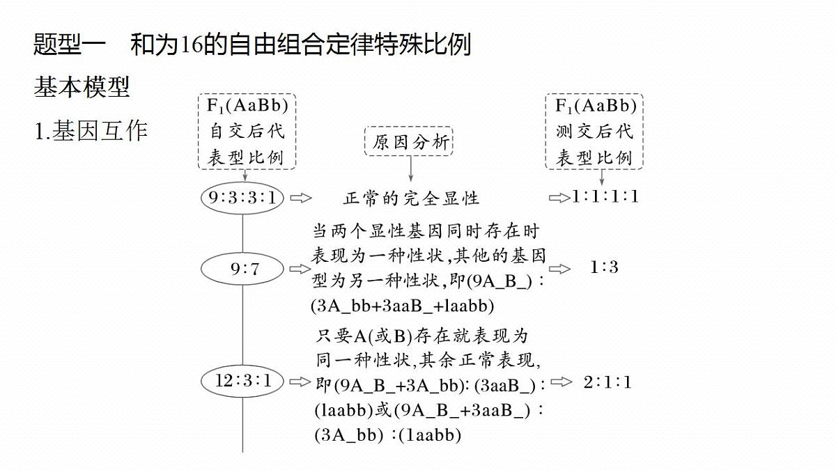 17828192第3页