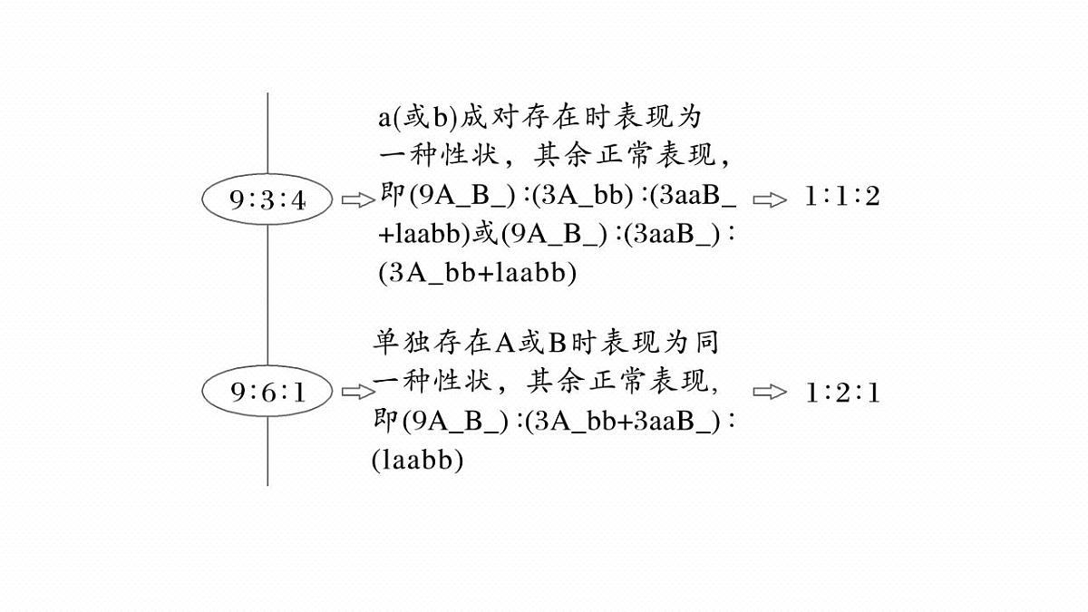 17828192第4页