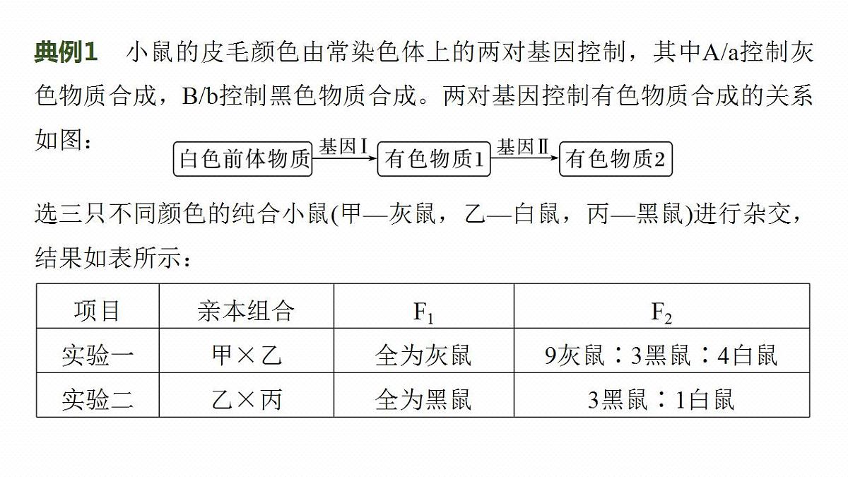 17828192第6页
