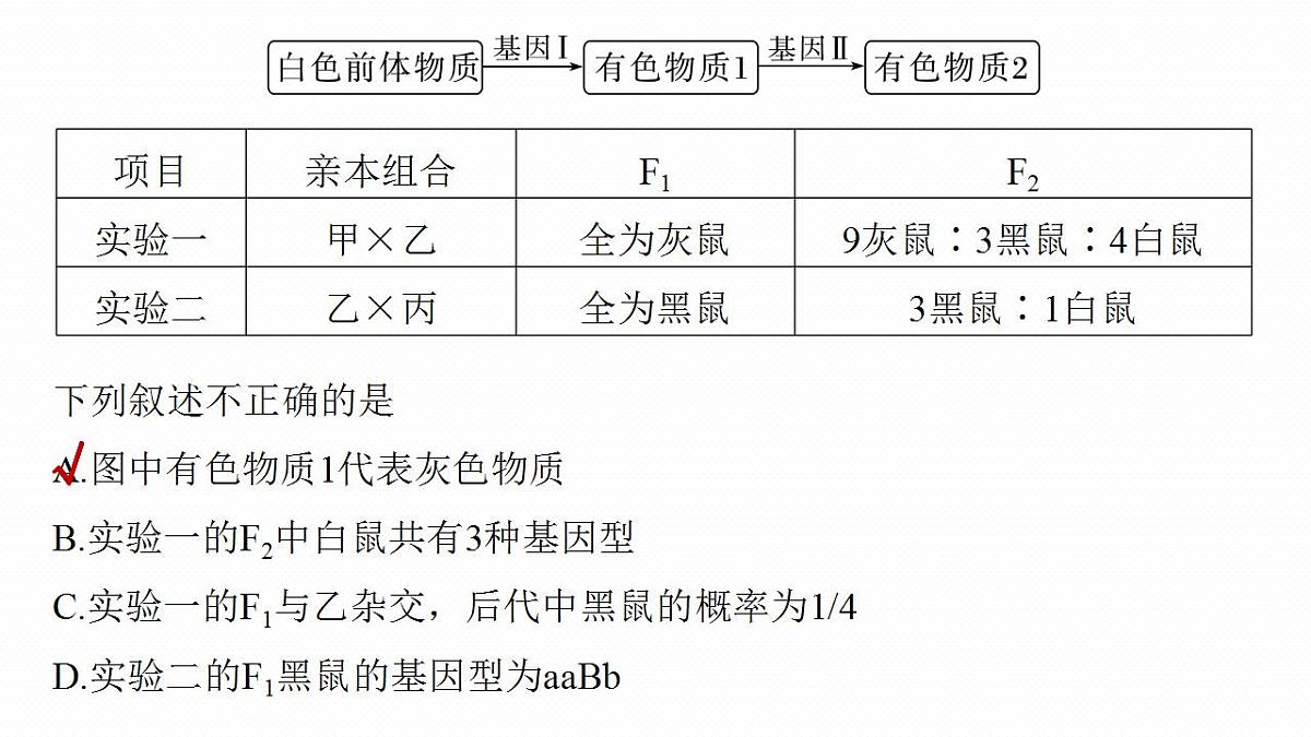17828192第7页