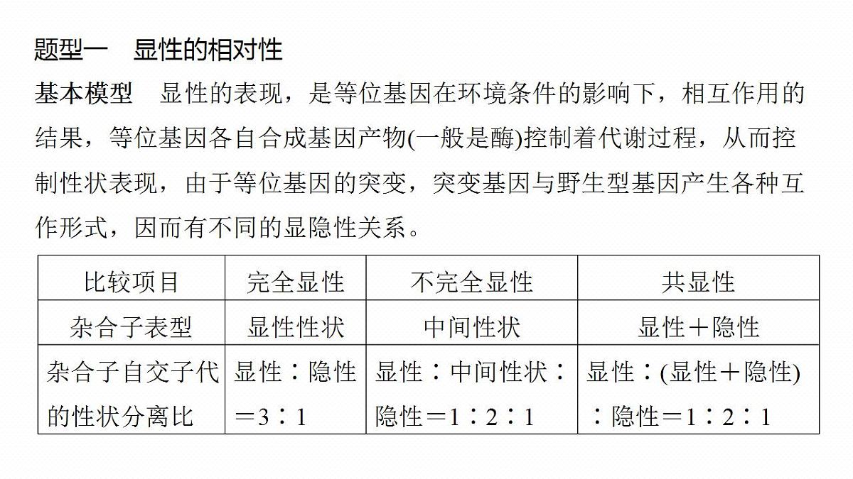 17828193第3页