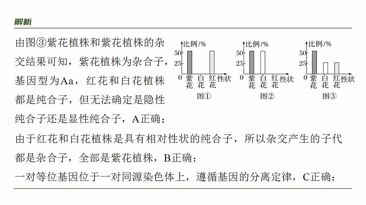 17828193第5页