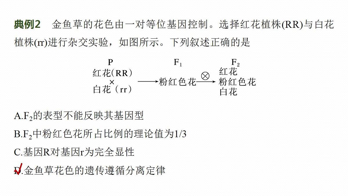 17828193第7页