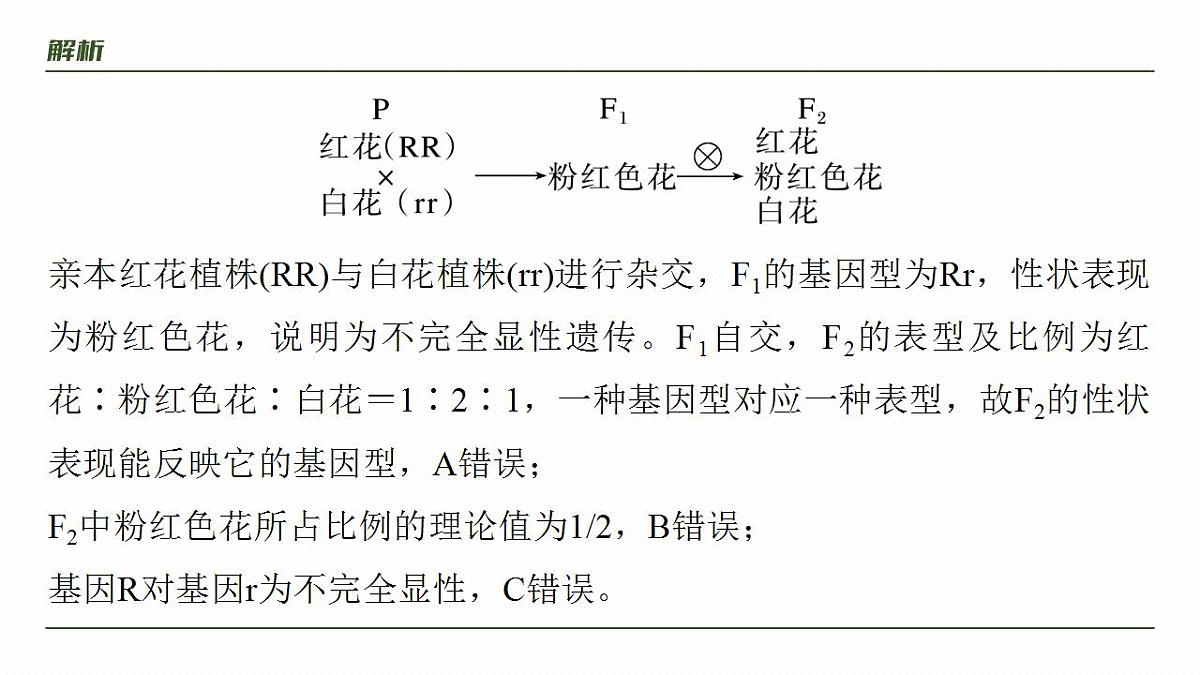 17828193第8页