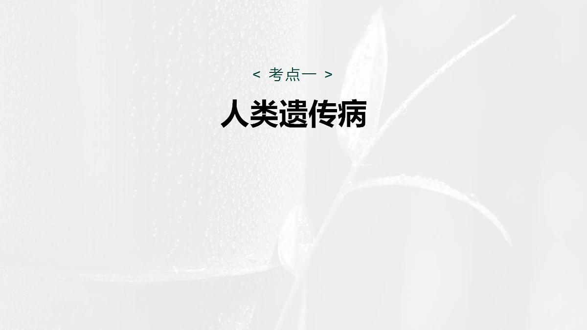 17828194第4页