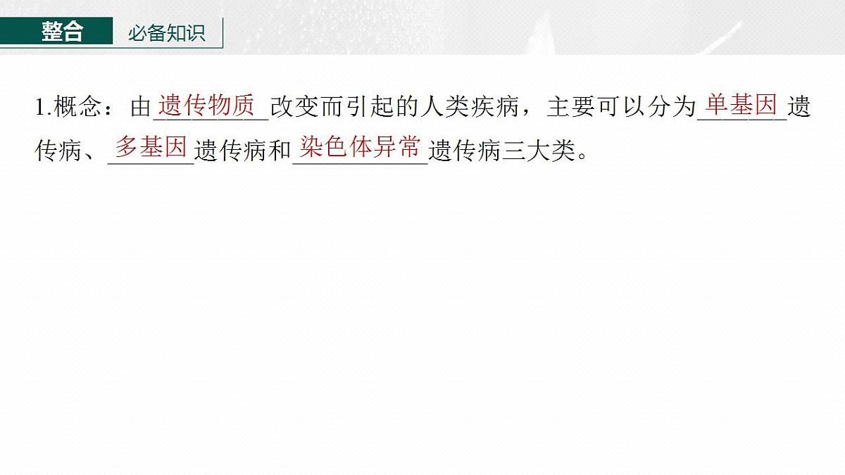 17828194第5页