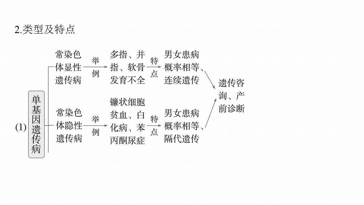 17828194第6页