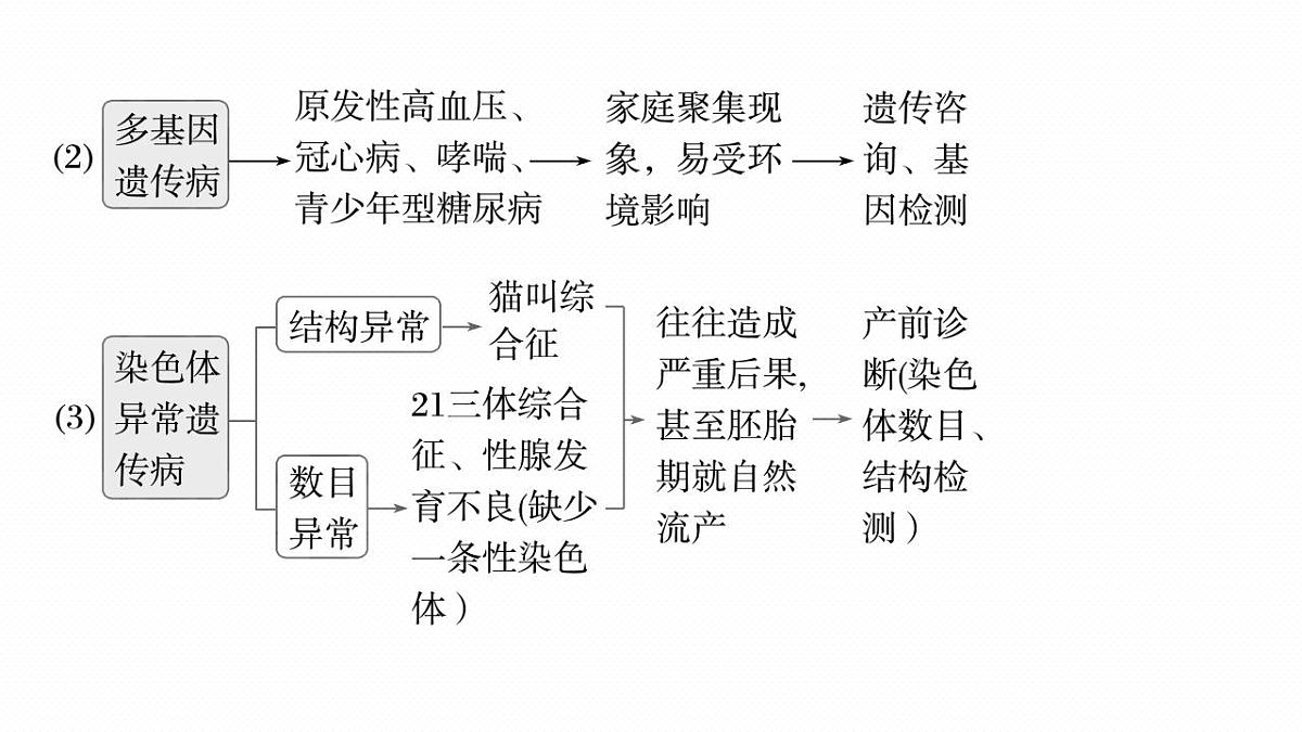 17828194第8页