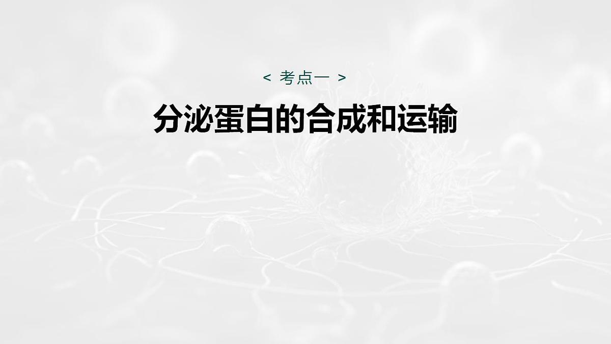 17828278第4页