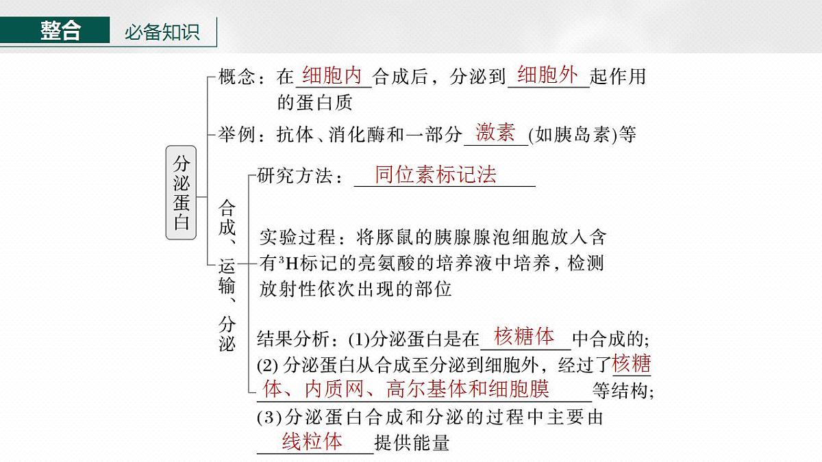 17828278第5页