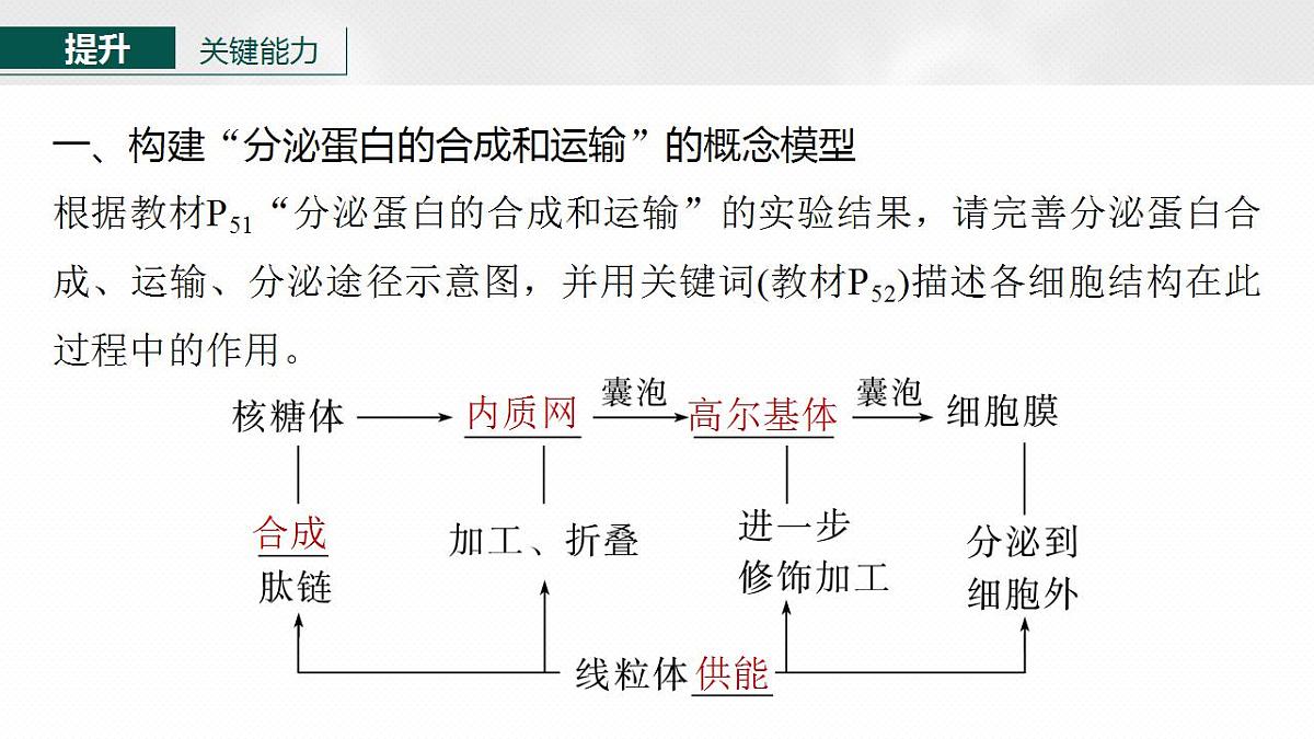 17828278第7页