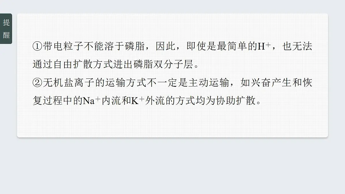 17828279第5页