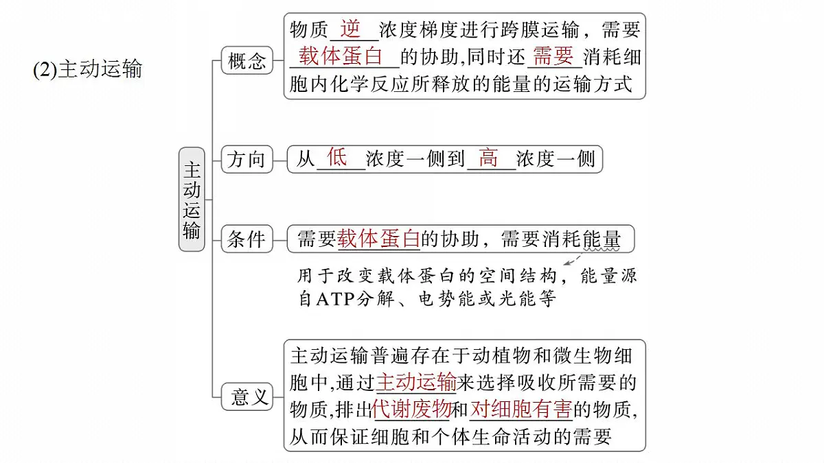 17828279第6页