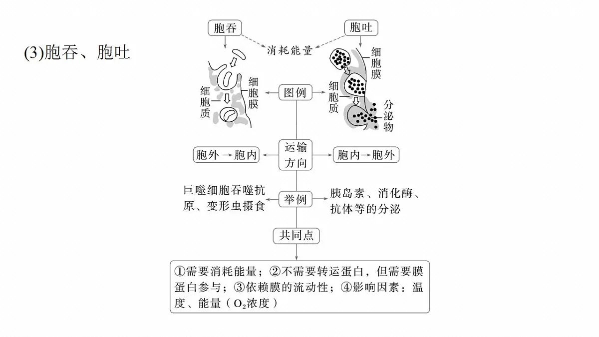 17828279第7页