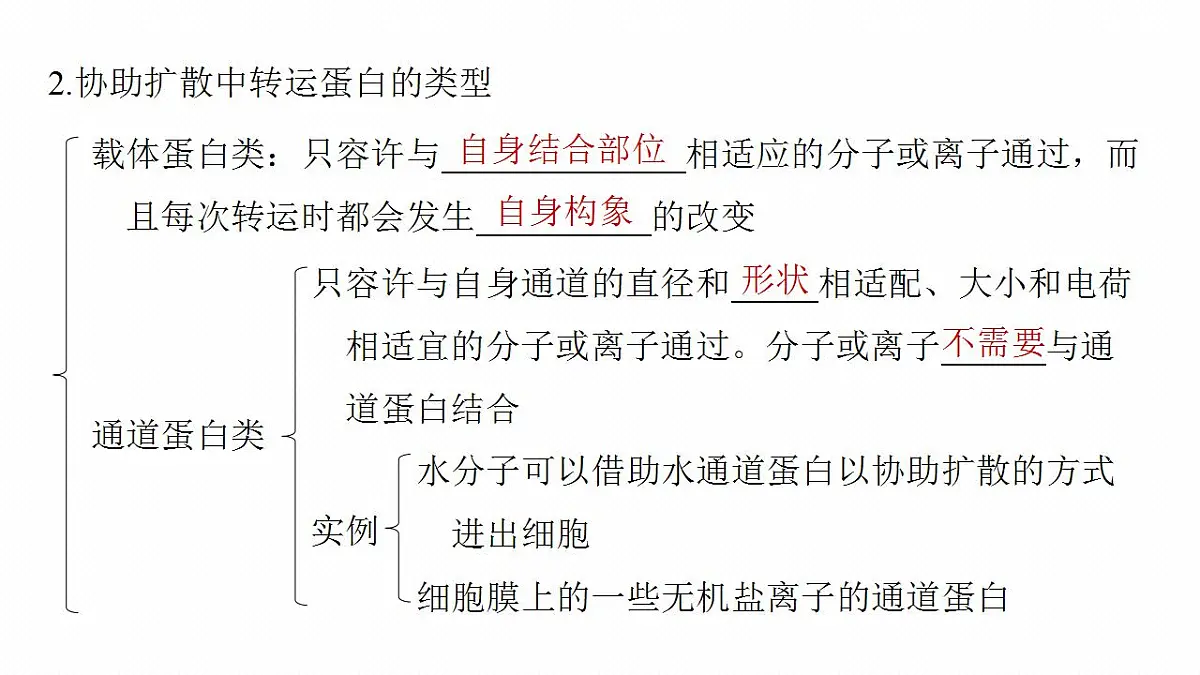 17828279第8页