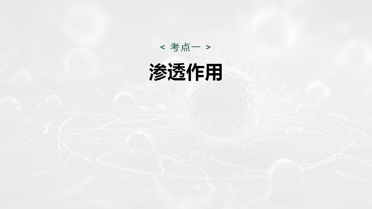 17828280第4页