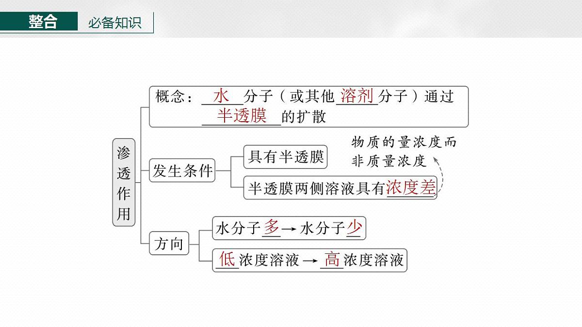17828280第5页