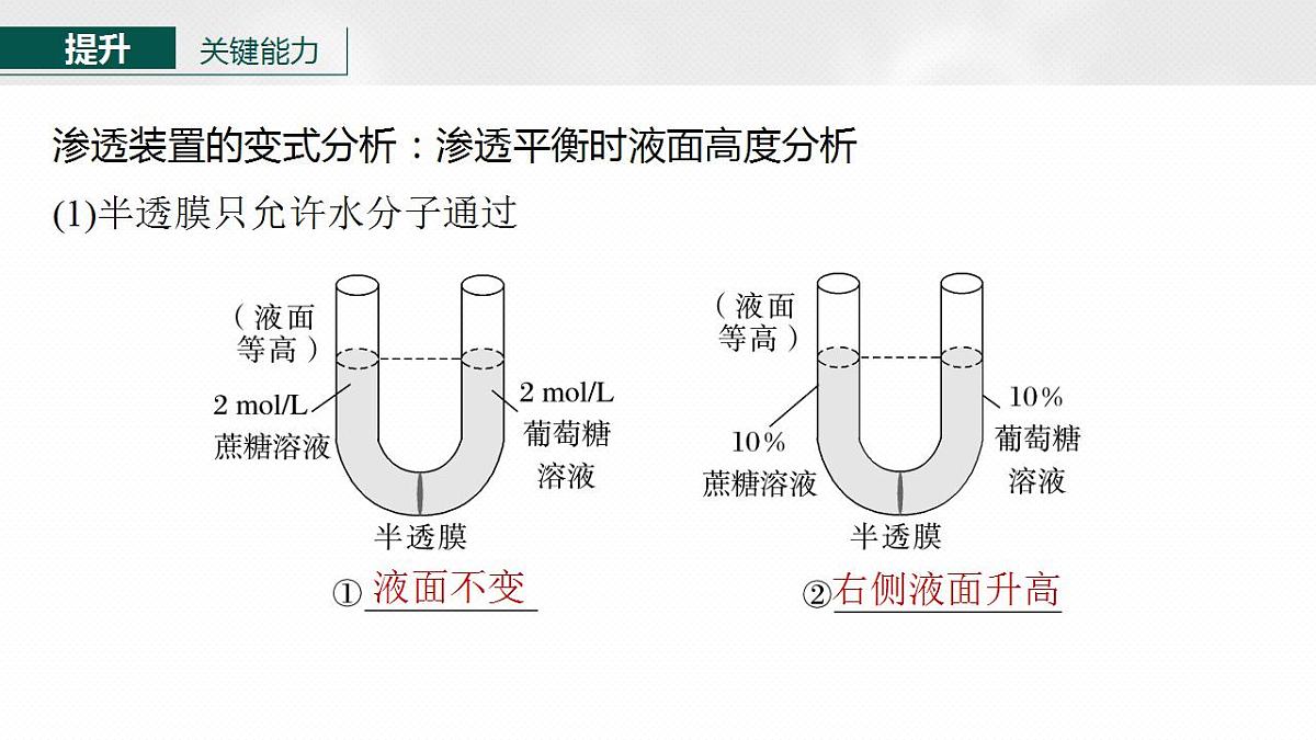 17828280第8页
