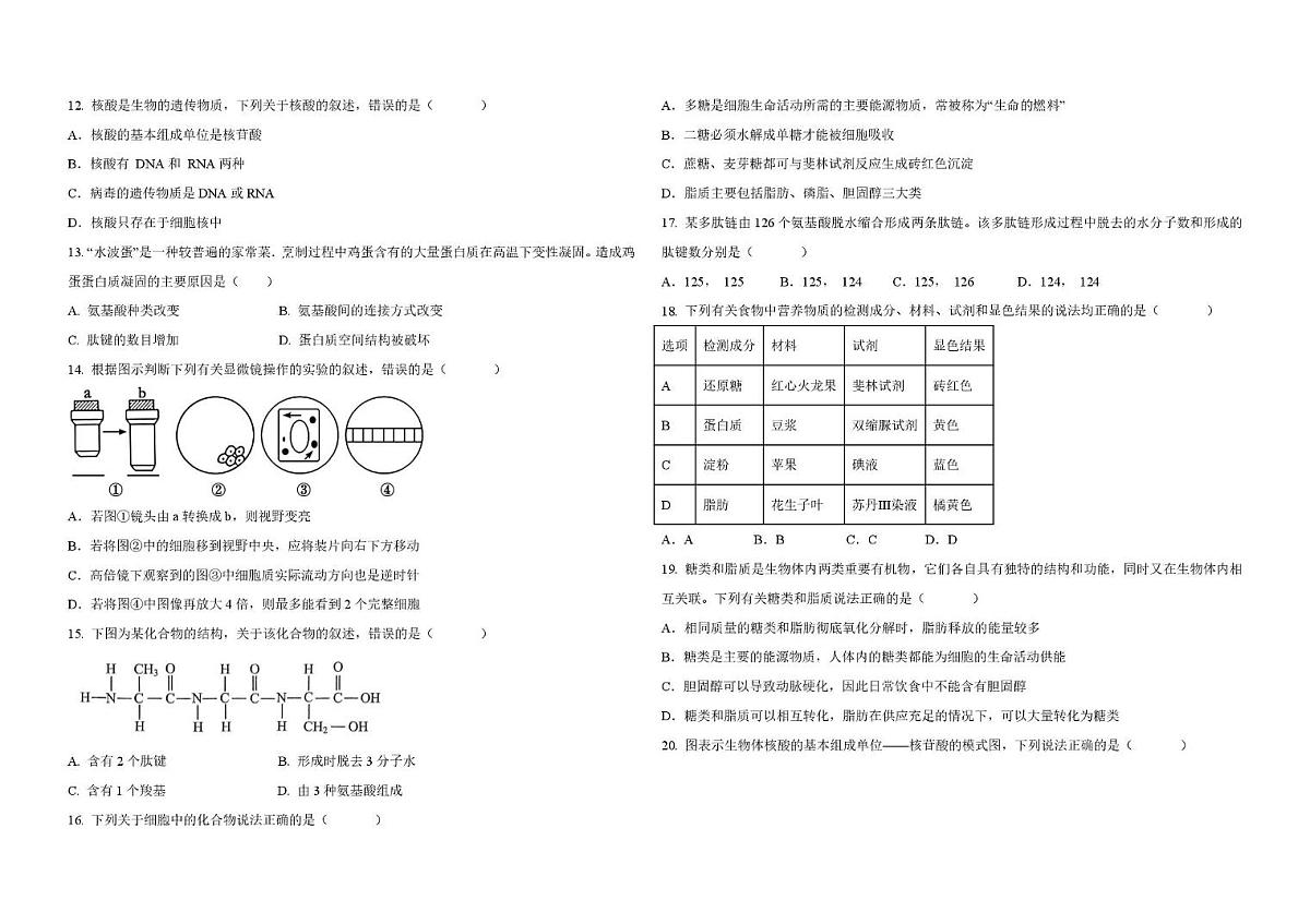 宁夏回族自治区同心县第三中学2025—2026学年高一上学期期中考试生物试题第2页