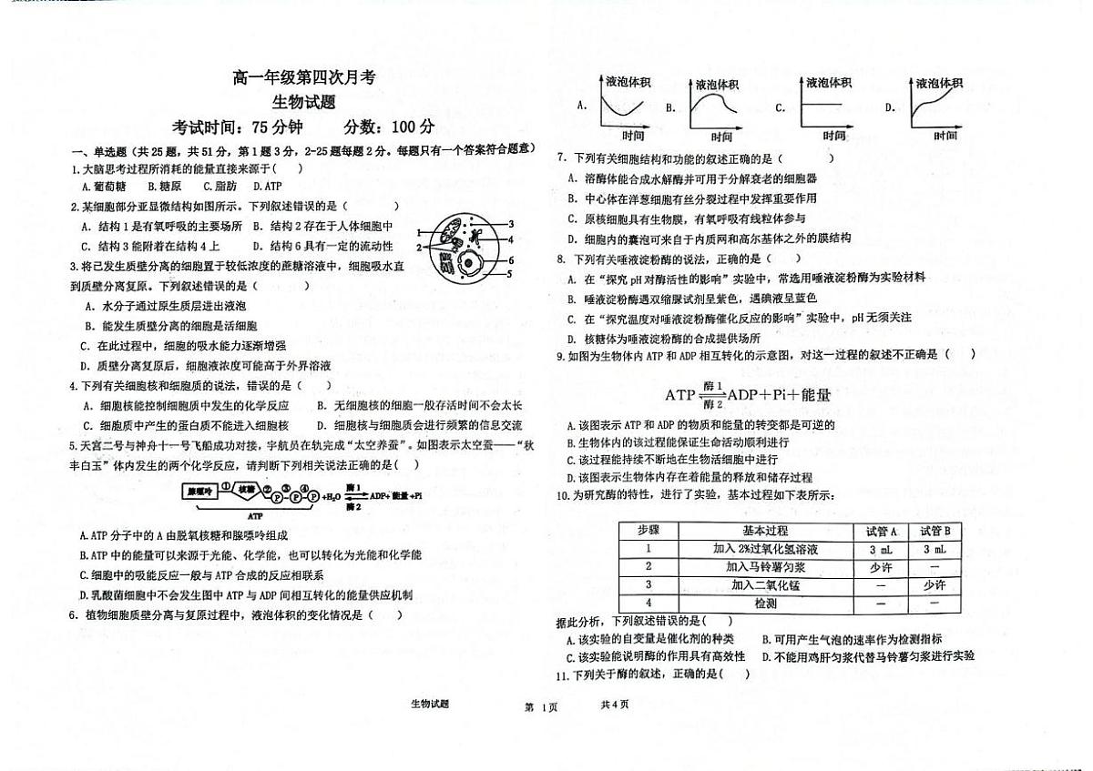 河北省衡水市冀州区河北冀州中学2025-2026学年高一上学期1月月考生物试题（月考）第1页