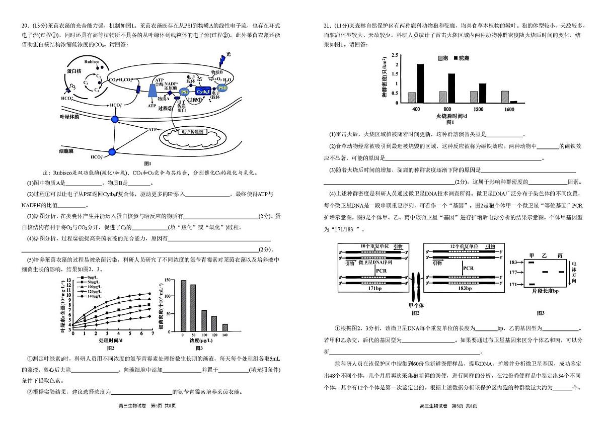 安徽省合肥市一中2025-2026学年高三上学期1月考试生物试题（月考）第3页