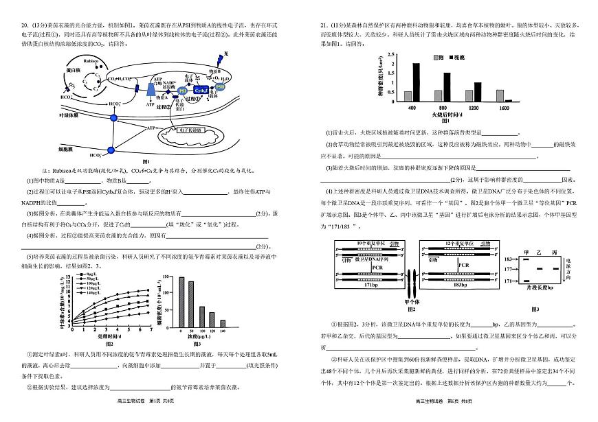 安徽省合肥市一中2025-2026学年高三上学期1月考试生物试题（月考）第3页
