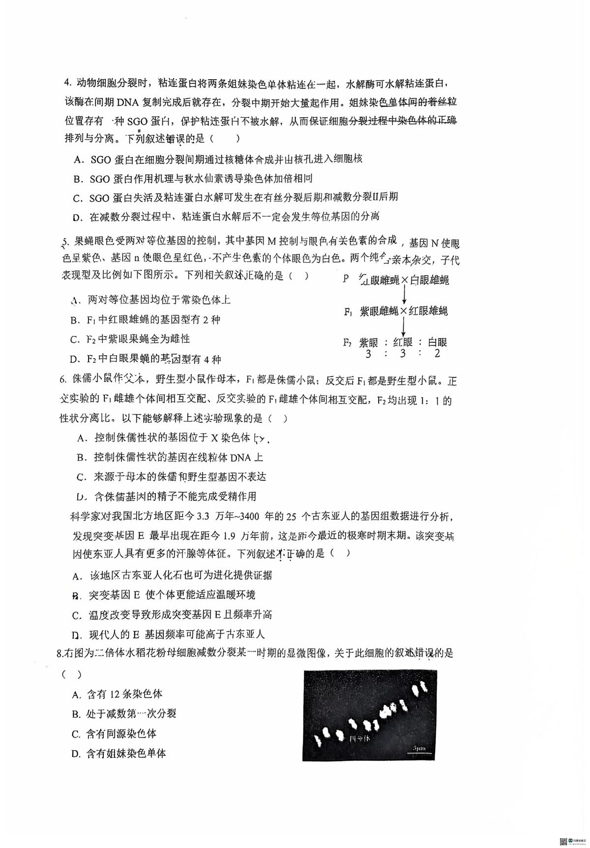 北京市海淀区人大附中2025-2026学年高三上学期1月月考生物试题（月考）第2页