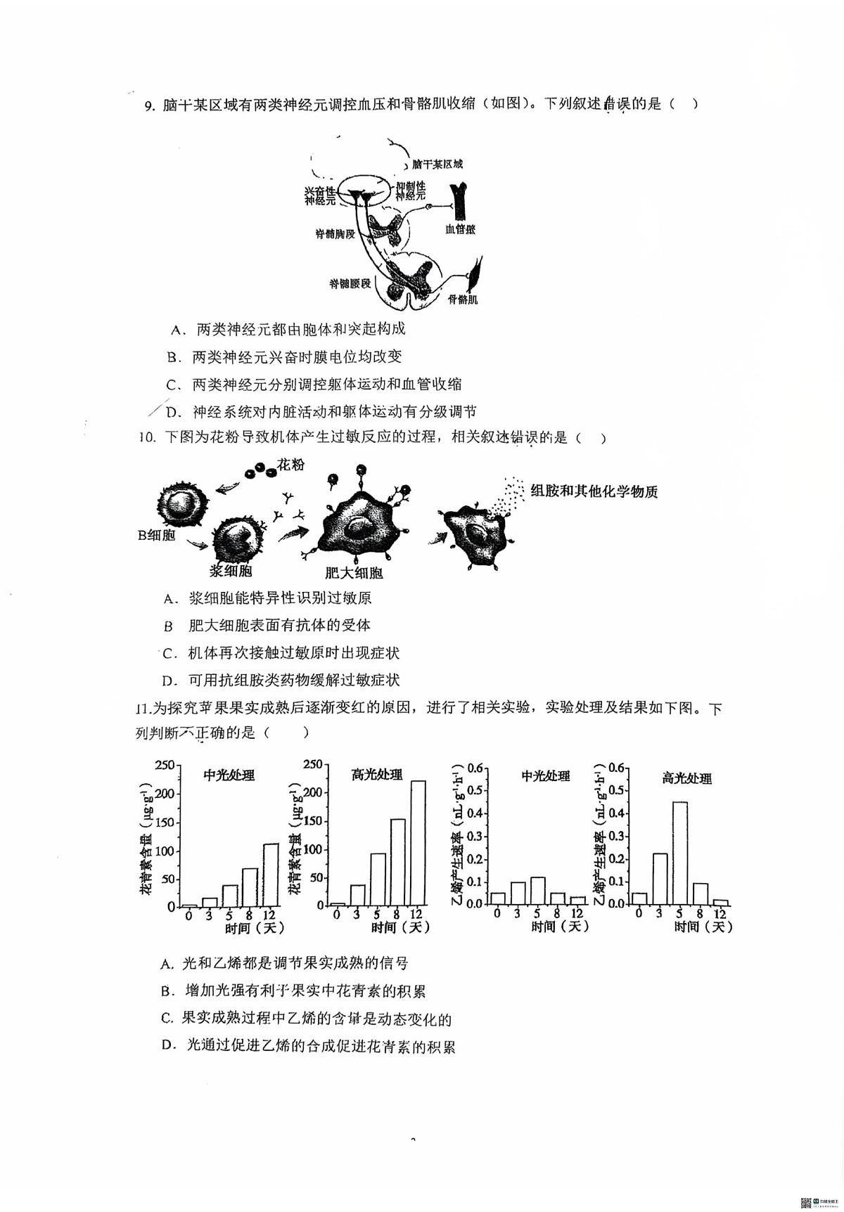 北京市海淀区人大附中2025-2026学年高三上学期1月月考生物试题（月考）第3页