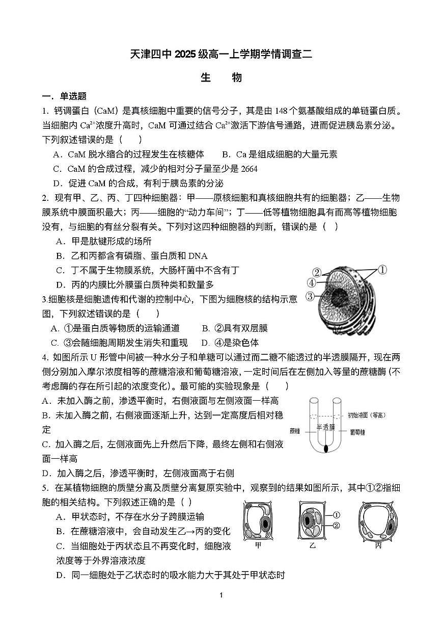 天津市河西区4中2025-2026学年高一上学期第二次月考生物试卷（月考）第1页